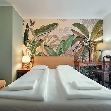 Classy - - Nowa Motlawa