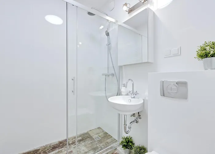 Classy - - Nowa Motlawa