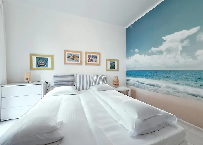 Classy - - Nowa Motlawa *