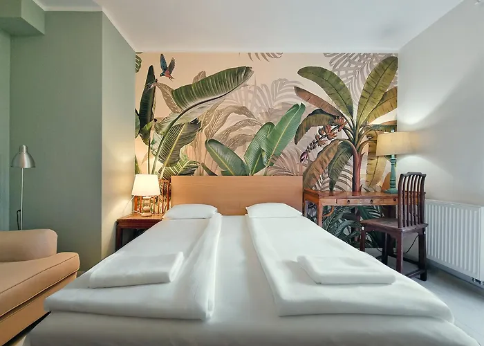 Classy - - Nowa Motlawa